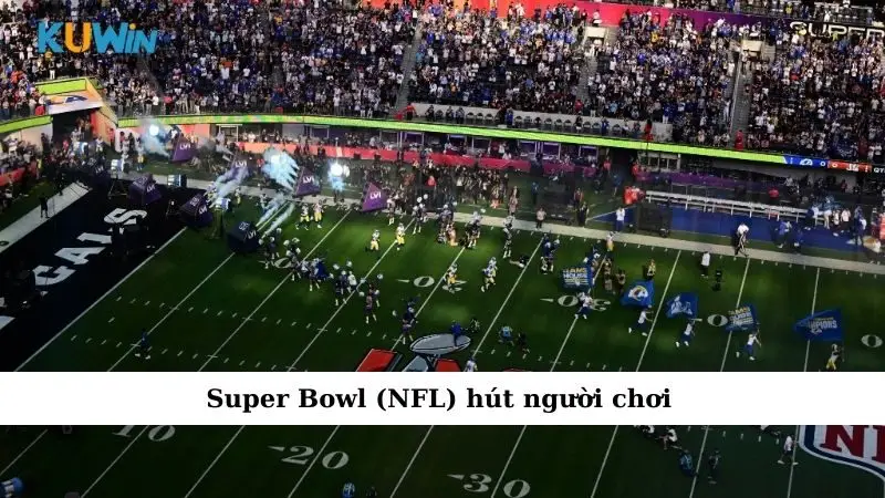 Super Bowl (NFL) hút người chơi